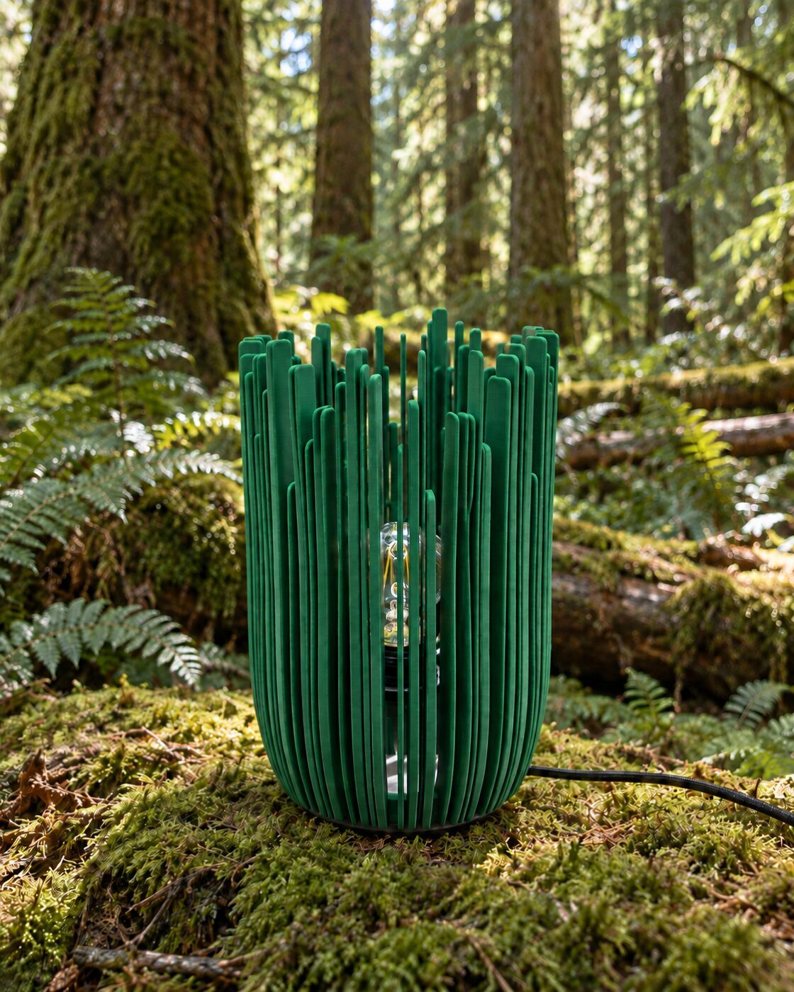 EVERGREEN switched off on moss among tall trunks