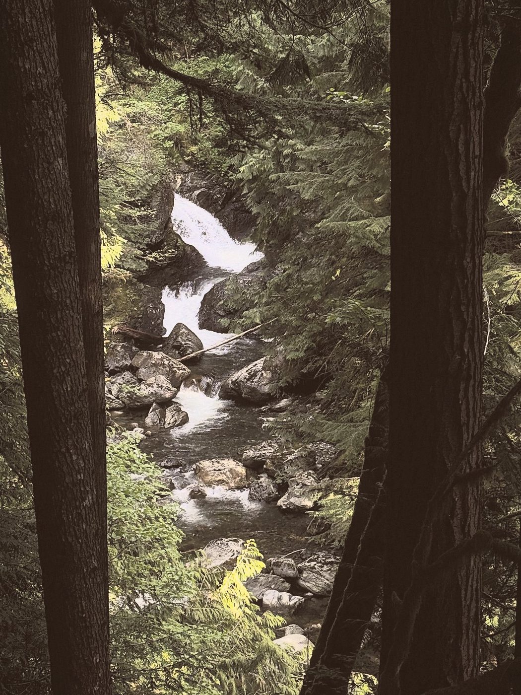A waterfall seen through a gap between two dark trunks