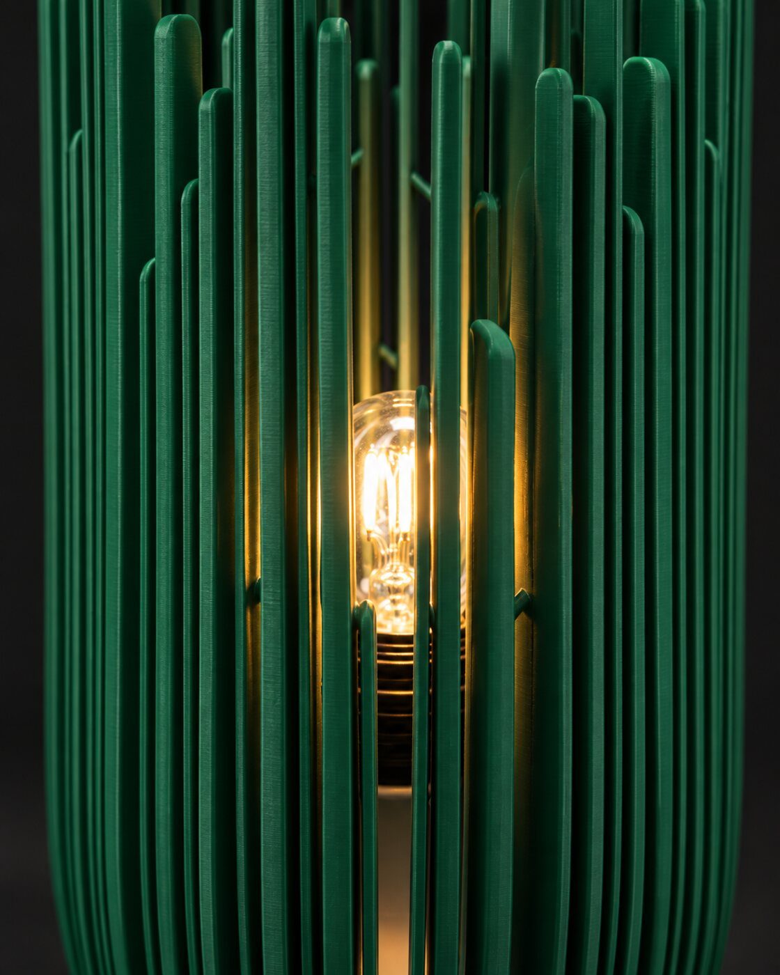 The bulb seen through a gap between ribs